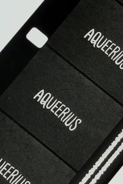 Aqueerius