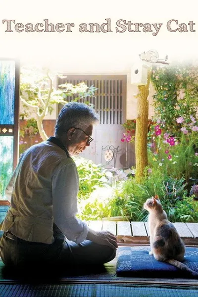 Teacher and Stray Cat