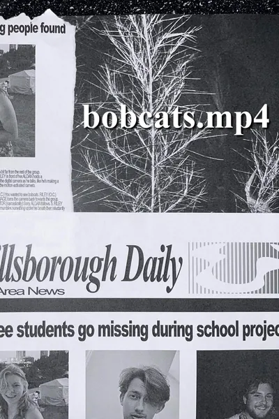 bobcats.mp4