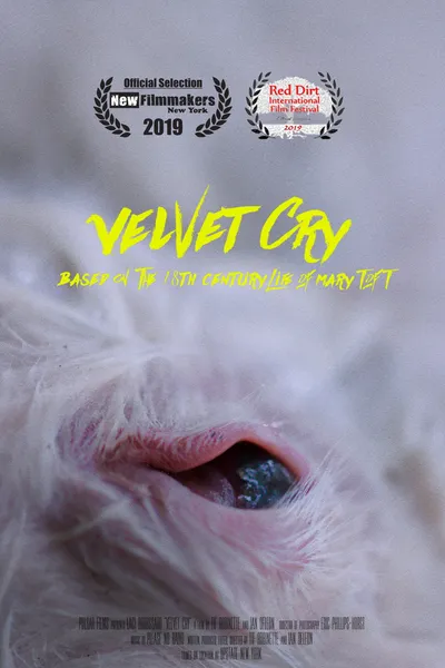 VELVET CRY