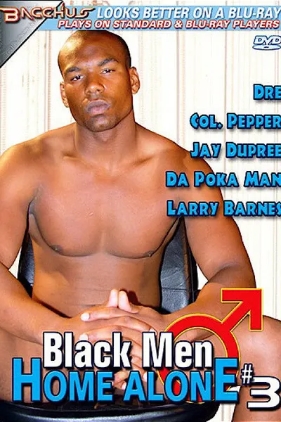 Black Men Home Alone 3