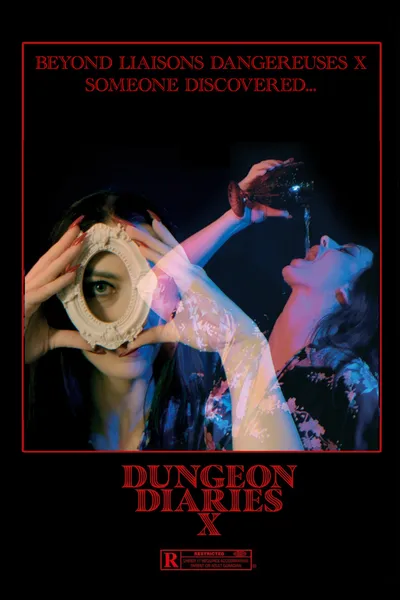 Dungeon Diaries X