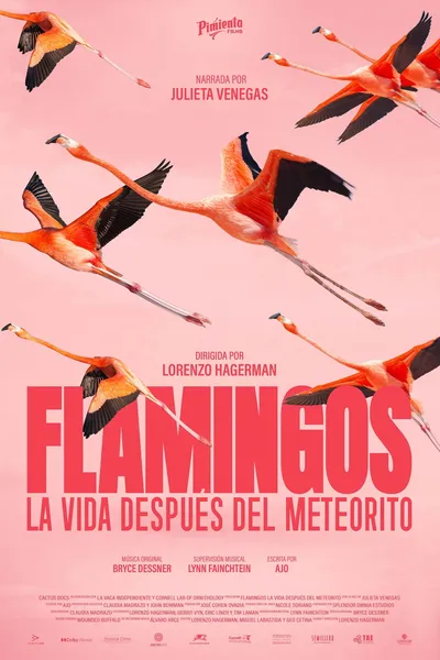 Flamingos: Life After the Meteorite