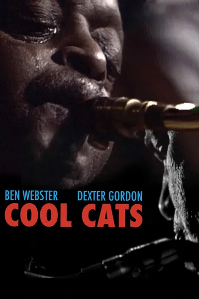 Cool Cats