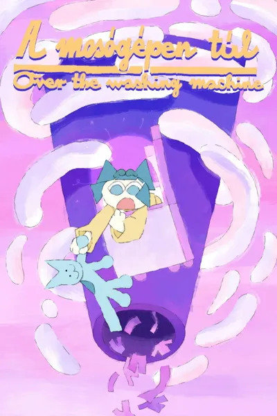 Over the Washing Machine