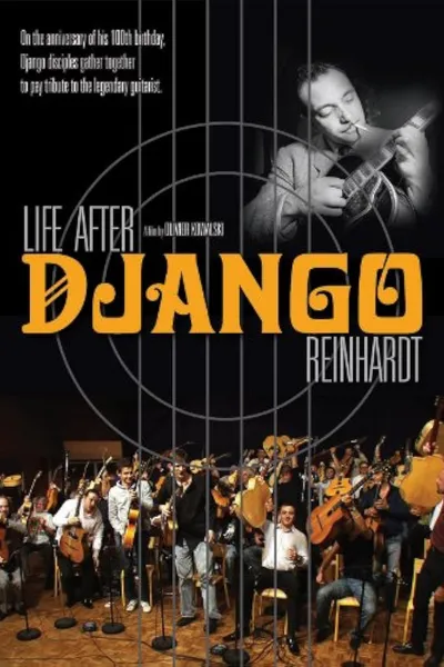Life After Django Reinhardt
