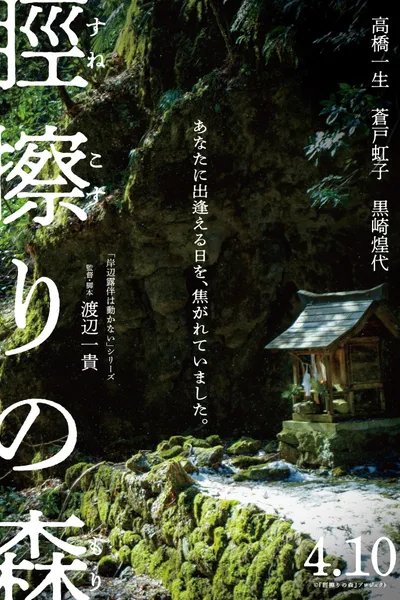 The Forest of Sunekosuri