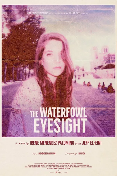 The Waterfowl Eyesight