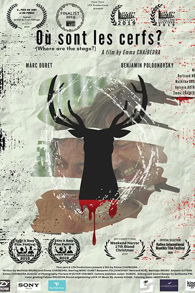 Où sont les Cerfs ?