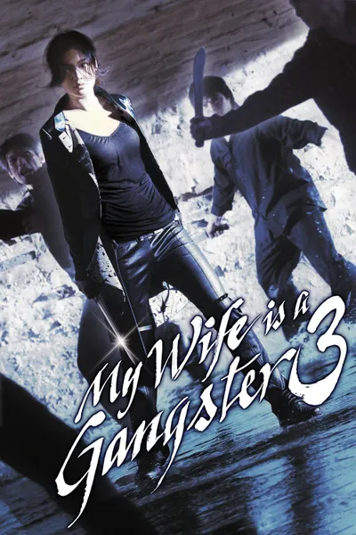 My Wife Is a Gangster 3