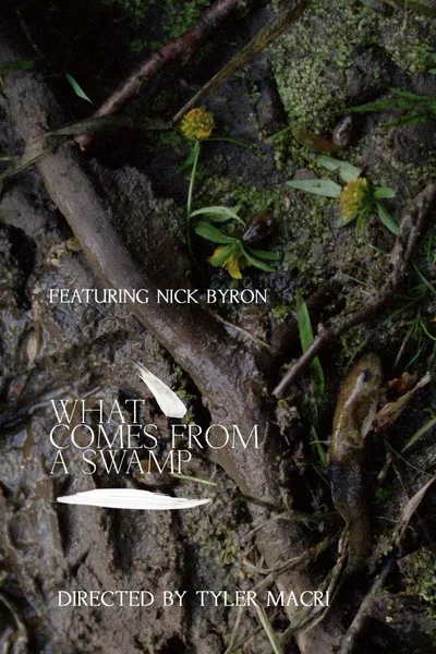 What Comes from a Swamp