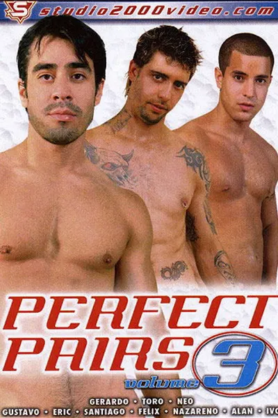 Perfect Pairs 3