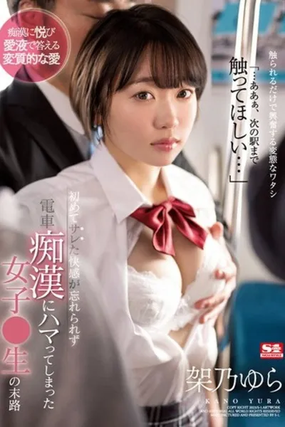 初めてサレた快感が忘れられず電車痴●にハマってしまった女子●生の末路 架乃ゆら