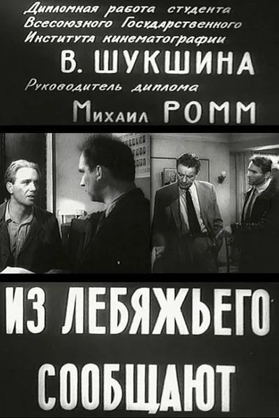 Reports from Lebyazhye