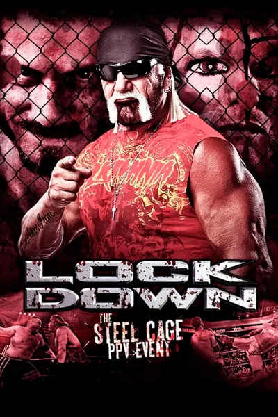TNA Lockdown 2013