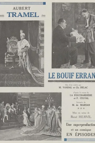 Le Bouif errant