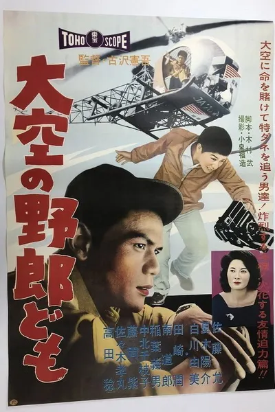 Reporters from the Sky