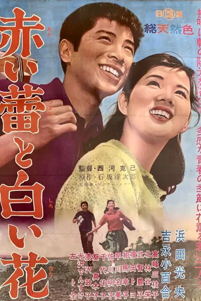 Red Bud and White Flower