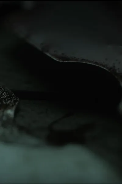 To Those Who Speak Waves