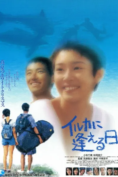 イルカに逢える日