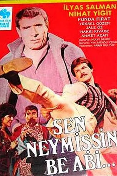 Sen Neymişsin Be Abi
