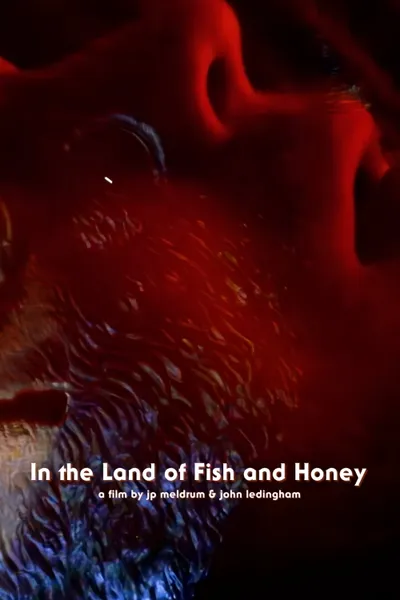 In The Land of Fish and Honey