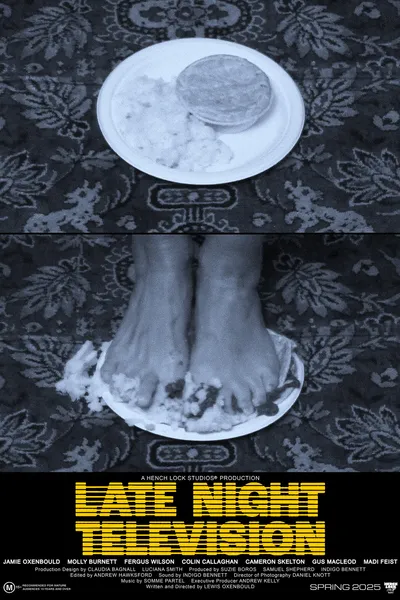 Late Night Television