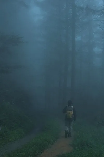 Men Wandering in the Mountain