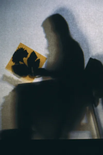 Lourdes Castro Shadows