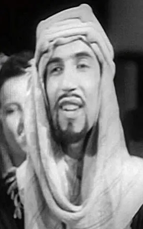 عبده السروجي