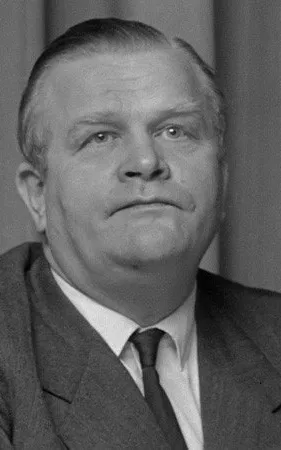 Gijs van der Wiel