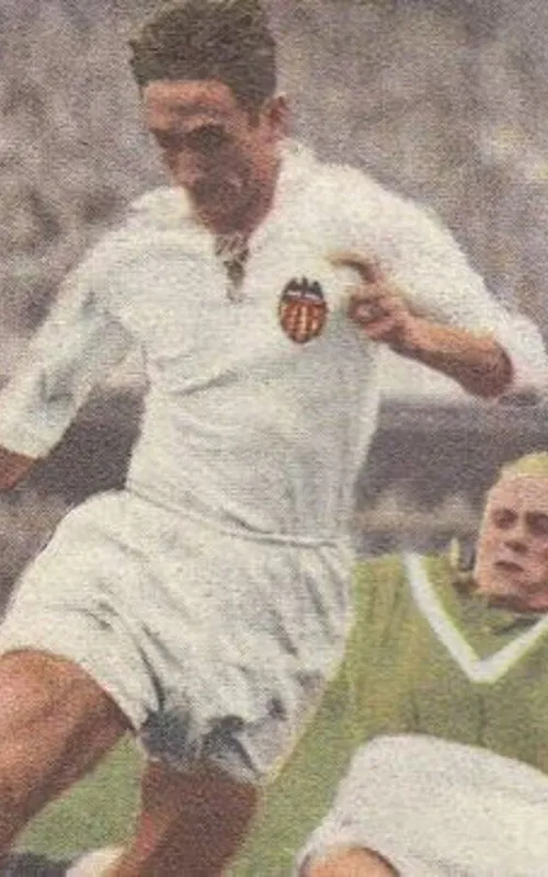 Faas Wilkes