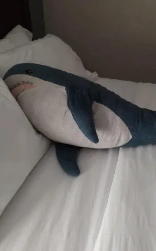 Brutus Shark