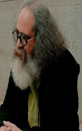 Amirhossein Habib