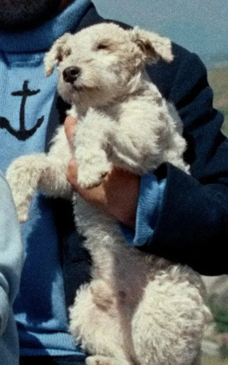 Milo