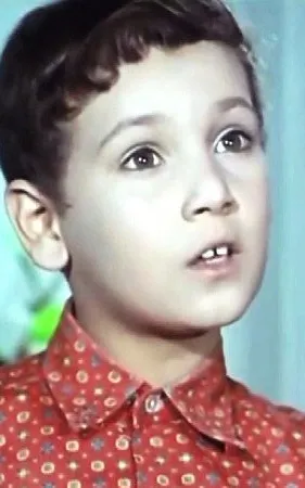 Mohiuddin Shawqi