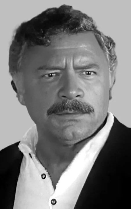 Nikša Stefanini