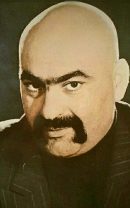 Mohsen Arasteh