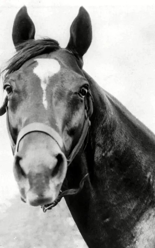 Man o' War