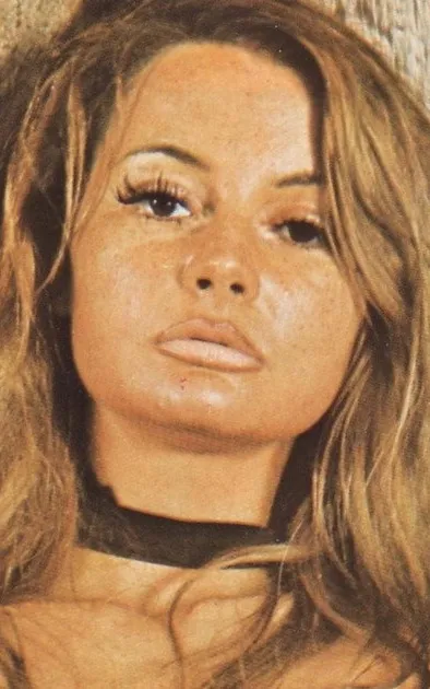 Dominique Saint Claire