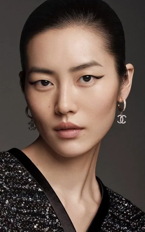 Liu Wen