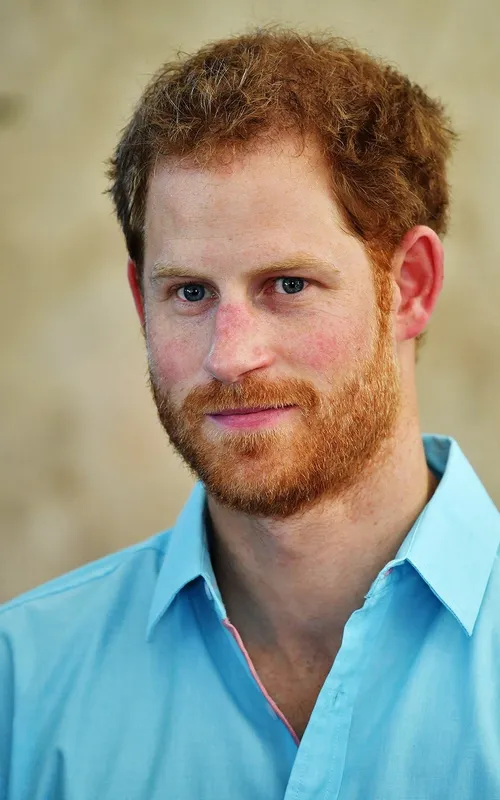 Prince Harry, Duke of Sussex