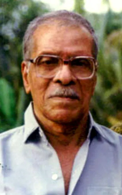 N.N. Pillai